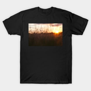 Sunset on the meadow T-Shirt